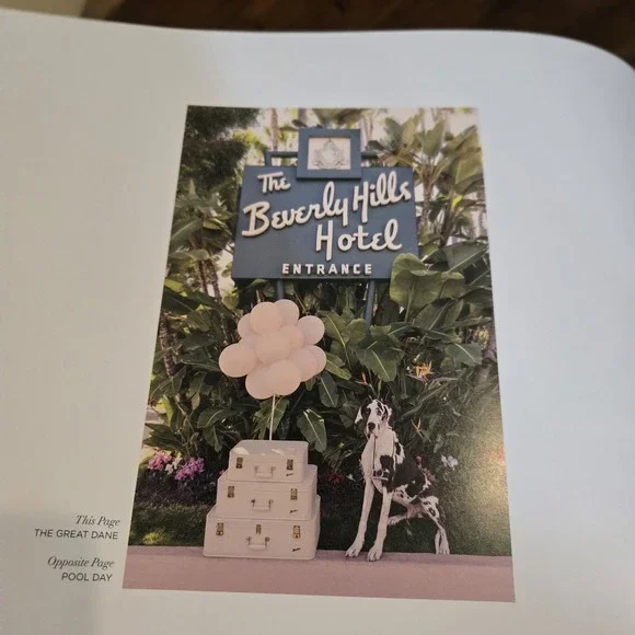 Gray Malin: Dogs: Photographs | EUC Coffee Table Book Canine Photography - Picture 7 of 12